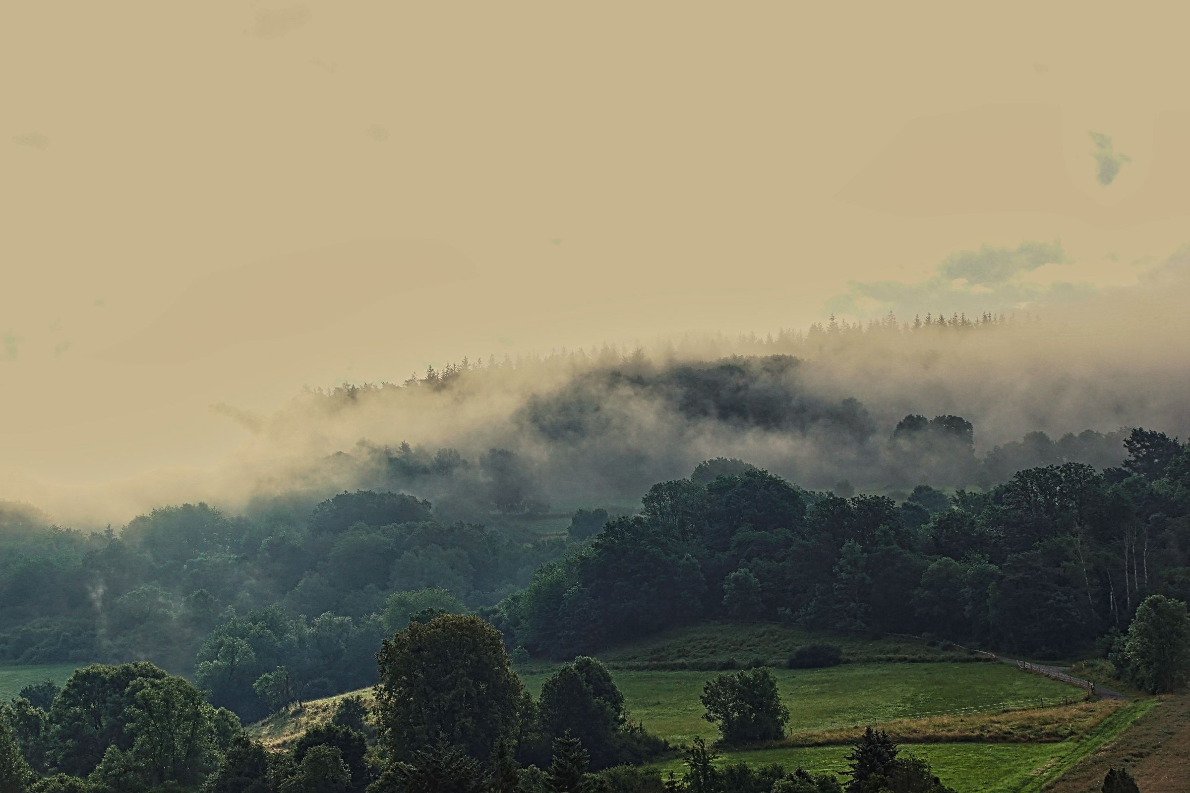 Nebel am Eichkopf Altmorschen